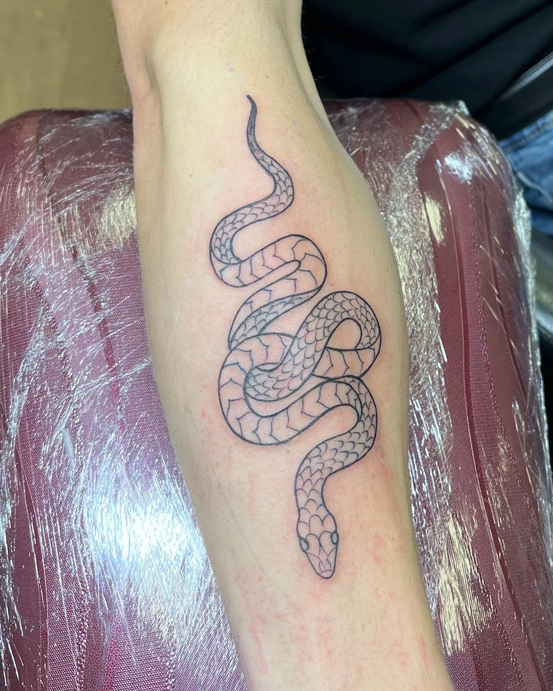 Crane-Tattoo-Piercing-Boutique-serpiente-tatuaje-lineal